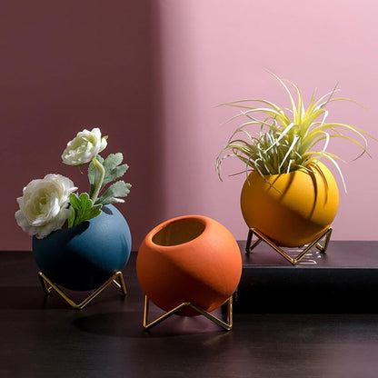 GLIMPSE |  Stylish Round Planter with Metal Base